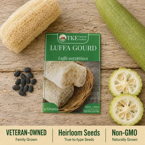 Miniatura 9 de TKE Farms & Gardens - Semillas de calabaza Luffa para plantar, más de 30 semillas de lufa no transgénicas, cultivar esponjas naturales o cosechar