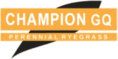 Miniatura 2 de Hancock Seed Co. Champion GQ Perennial Ryegrass Seed, 10 libras.
