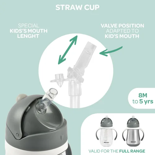 Miniatura 5 de BEABA - Vaso para sorber con popote de acero inoxidable, vasos aislados a prueba de derrames con asas extraíbles, fabricado con acero inoxidable