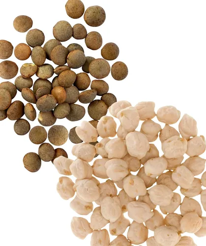 Miniatura 2 de Bolsa de garbanzos, proyecto verificado sin OGM 100% sin irradiadiar Certificado Kosher Parve cultivado en EE.UU. Con rastreo de campo