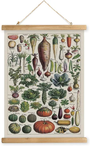 Miniatura 30 de XIAOAIKA Póster Educativo de Vida Silvestre de Seto Británico - Cuadro Ilustrado de la Naturaleza con Marco de Madera - Arte de Pared de Animales