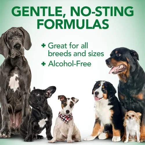 Miniatura 7 de Vet's Best Kit limpiador de oídos para perros, alivio de oídos multisíntoma, tratamiento de lavado y seco, sin alcohol
