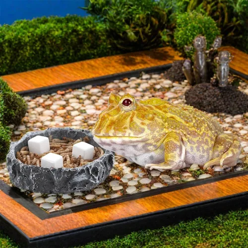 Miniatura 3 de DQITJ 24 piezas de piedra de calcio natural para reptiles de tortuga, tortuga, lagarto, rana, camaleón, reptiles