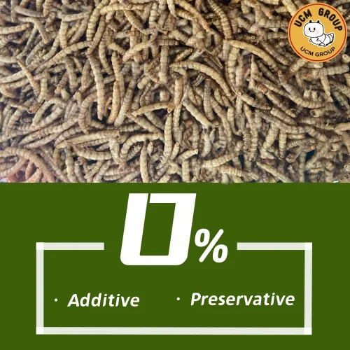 Miniatura 2 de UCM Group - Gusanos de harina secos de 5 libras para aves silvestres, pollos, alimento orgánico para pollos con alto contenido de proteínas, 100%