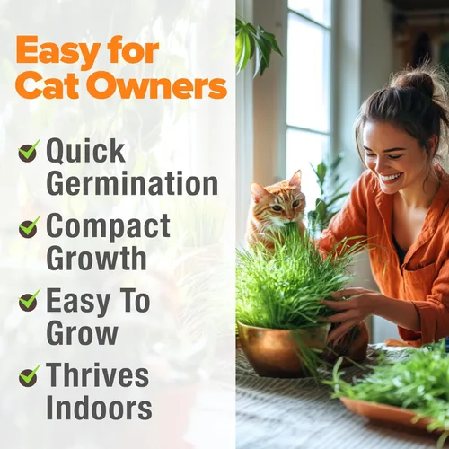 Miniatura 6 de HOME GROWN Mezcla de 3 semillas de hierba para gatos – Semillas de avena, alfalfa y hierba de gato sin OMG Hierba interior para gatos Verdes