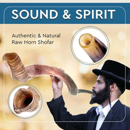 Miniatura 5 de YOMTOV-SHALOM Kudu Shofar Shofar en venta Kosher de Israel 35-39 pulgadas