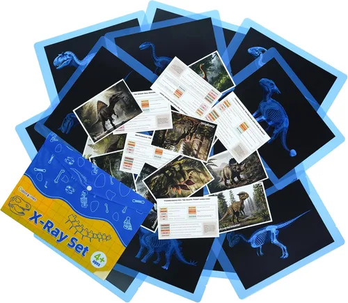 15 Piezas Tarjetas de Rayos X de Dinosaurios y Criaturas, Rayos X de Animales para Niños, Juguetes de Mesa de Luz, Kit de Ciencia de Criaturas