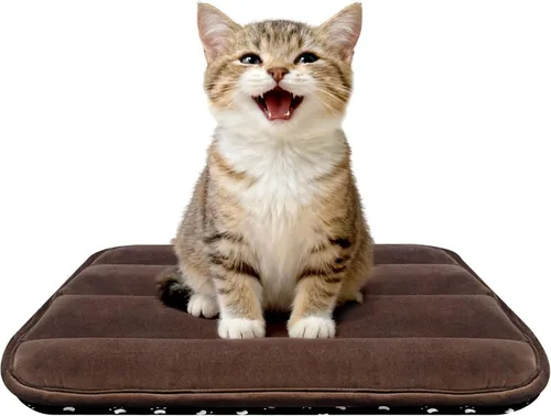 Miniatura 17 de Alfombrilla para Cama de Perro – Almohadilla de Perrera Suave y Cómoda para Jaula – Cama y Almohadilla Duradera para Perros y Gatos – Ideal para Gris
