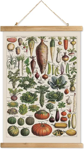 Miniatura 8 de XIAOAIKA Póster Educativo de Vida Silvestre de Seto Británico - Cuadro Ilustrado de la Naturaleza con Marco de Madera - Arte de Pared de Animales