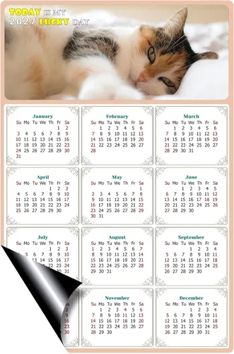 Miniatura 2 de Calendario magnético 2024 – Imanes del calendario – Today is my Lucky Day – Resistente a la decoloración, desgarros y agua – Temática de gato 04