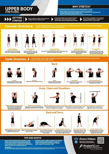 Miniatura 8 de Póster de gimnasio para grupos musculares y ejercicios, laminado, EXTRAGRANDE 33" x 23.5", tabla de pared de gimnasio y fitness en casa, incluye