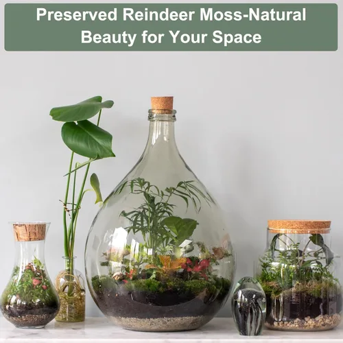 Miniatura 4 de MECCANIXITY Musgo de reno preservado de 7.8 onzas, musgo artificial decorativo negro para plantas en maceta, manualidades de interiores, centros