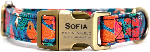 Miniatura 29 de Collar de perro personalizado con nombre y número de teléfono grabado, collar ajustable personalizado para cachorros, collar de algodón orgánico