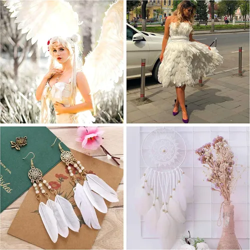 Miniatura 8 de Ballinger 8-12 pulgadas, 4 estilos, 24 plumas de faisán surtidas y 120 plumas de ganso blancas de 6 a 8 pulgadas para manualidades, jarrón