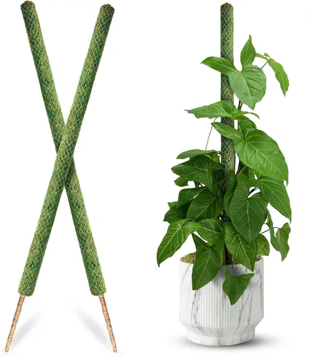 Miniatura 7 de DUSPRO Poste no doblable de 59 pulgadas para plantas trepadoras grandes, poste de musgo grande para Monstera, estacas para plantas