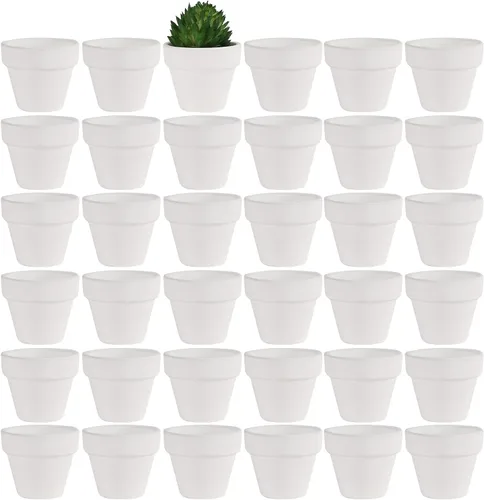 Miniatura 3 de Yishang - Paquete de 36 macetas pequeñas de terracota negra de 1.9 pulgadas - Mini macetas blancas de arcilla con agujeros de drenaje, macetas
