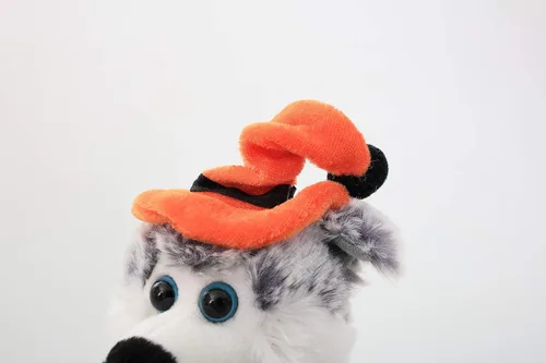 Miniatura 4 de Plushland Halloween Pawpals - Peluche de perro de 8 pulgadas con sombrero y linterna Jack O Lantern de Halloween, calabaza para niños en estas Husky
