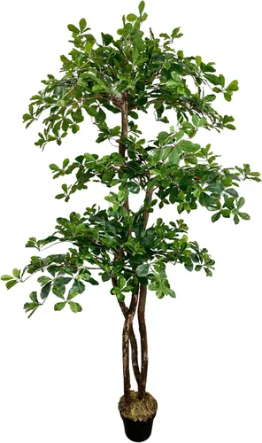 Miniatura 11 de Cypress & Alabaster Árbol artificial de hoja de olivo negro italiano hecho a mano de 4 pies con troncos de madera real de origen ético