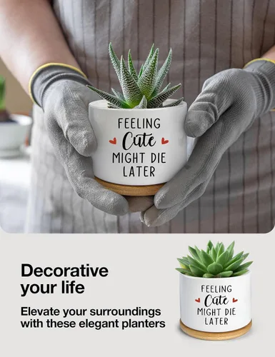 Miniatura 3 de Feeling Cute Might Die Later - Maceta de cerámica grabada para suculentas, aloe y cactus, divertidas macetas de interior con bandeja de bambú