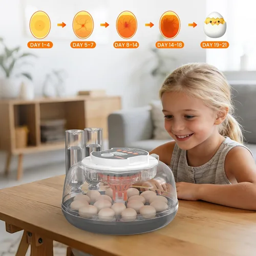 Miniatura 7 de Incubadora automática de huevos de 18 huevos para incubar huevos, incubadora de huevos de gallina con giro automático de huevos, control de humedad