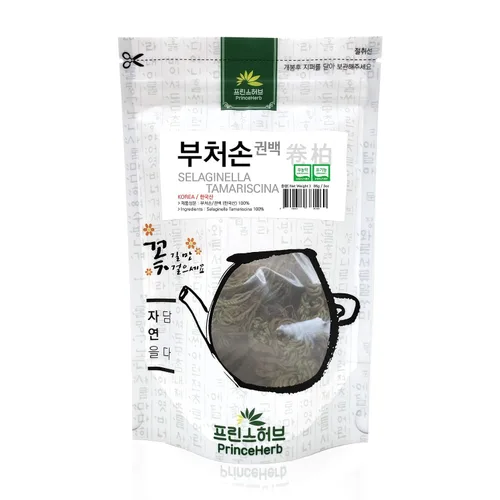 Miniatura 2 de [Hierba Coreana Medicinal] Selaginella Tamariscina (musgo de espiga/Juanbai/& # x02014 & # x0201D & # x0201c4)