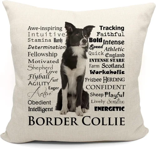 Miniatura 6 de Mancheng-zi Funda de almohada con purpurina It's Not Dog Hair It's Border Collie, regalos para amantes de los perros, regalos de mamá Border Collie