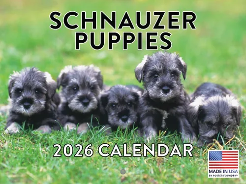 Miniatura 162 de Calendario de pared mensual 2025 Great Dane de 12 meses, fabricado en Estados Unidos