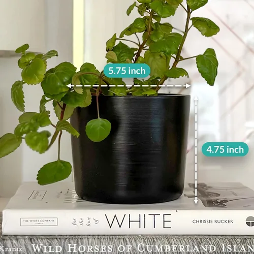 Miniatura 2 de Willowy Maceta de Cerámica Negra de 6 Pulgadas - Macetas de Cerámica Negra de 6 Pulgadas para Plantas como Aloe, Planta de Goma Bebé, Jade, Planta
