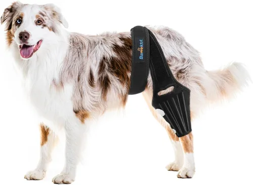 Férula ACL para Perro para Luxación de Rótula en Pata Trasera, Soporte Ajustable de Pata Trasera para Perro para Dolor Articular, Dolor Muscular,