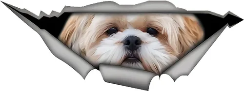Miniatura 6 de 13 cm para Shih Tzu 3D Adhesivo para Coche Pegatina Divertida de Perro Mascota Adhesivo Creativo de Metal Desgarrado Adhesivos Modificados