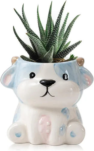 Miniatura 9 de DIYOMR Bonita maceta de animales, mini maceta de cerámica con forma de animal de dibujos animados para suculentas, soporte para plantas de aire