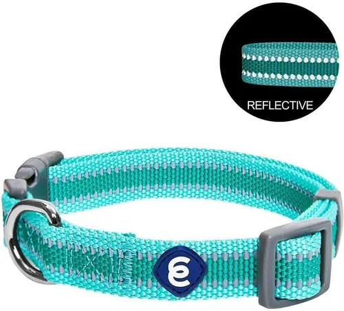 Miniatura 5 de Blueberry Pet Essentials - Collar para perros pequeños a juego, ajustable, clásico, de nailon, color sólido, para perros pequeños, collar