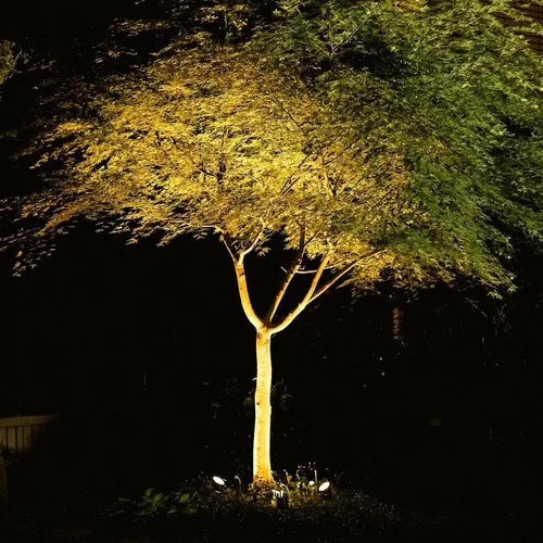 Miniatura 6 de VENUS MANUFACTURING Focos de paisaje de bajo voltaje de 12 V, iluminación LED de paisaje al aire libre de 3 W, 200 lúmenes, 3000 K, luces de camino