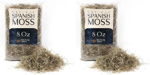 Miniatura 7 de Royal Imports Musgo español natural preservado, trozos sueltos triturados secos frescos, bolsa de 8 onzas