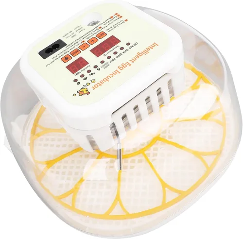 Incubadora automática de 12 huevos con control de humedad con girador de huevos, incubadora ventilada para eclosionar huevos de pollo y codorniz, US