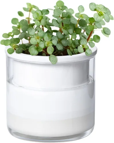 Miniatura 15 de Maceta auto-regante Phoenix Vine de 6 pulgadas, diseño en terracota blanca para plantas, maceta cilíndrica de terracota interior con jarrón de Blanco