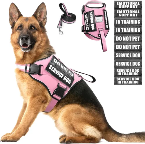 Miniatura 12 de Juego de arnés y correa para perro de servicio, chaleco de entrenamiento para perros con 10 parches para perros, arnés y chaleco para perros de Azul