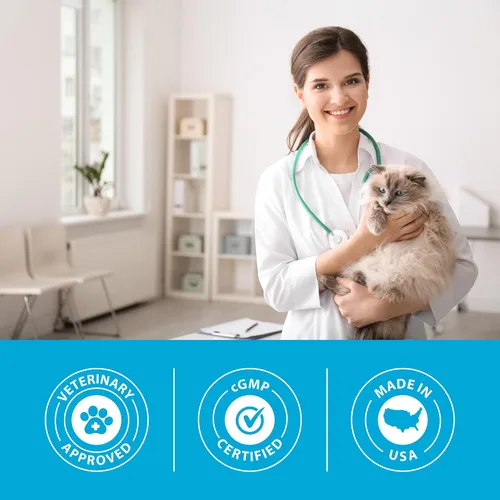 Miniatura 7 de PRN Pharmacal Duralactin Feline L-Lysine Pasta para gatos y gatitos – Apoya la salud de las articulaciones felinas, respiratoria y ocular – Pasta