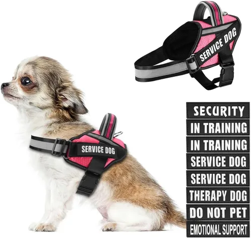 Miniatura 21 de in Training Service - Juego de arnés y parches para perro, con 10 parches para perros, chaleco reflectante con asa para perros pequeños, medianos