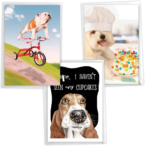Miniatura 12 de NobleWorks Paquete de 3 divertidas tarjetas de felicitación de cumpleaños con sobres (1 diseño, 3 cada uno) comedero vacío para pájaros C2561BDG-C3x1