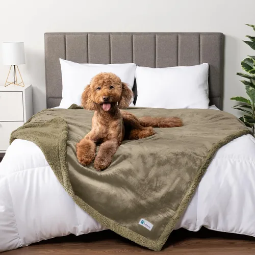 Miniatura 27 de PetAmi - Manta impermeable para perros medianos, cachorros, gatos pequeños Manta suave de forro polar Sherpa para mascotas, para sofá, sofá, funda