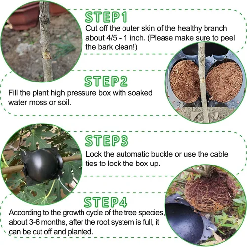 Miniatura 7 de 12 uds Caja de cultivo de raíces de plantas, Kit reutilizable de capas de aire para propagación Kit de bolas de enraizamiento de raíces de plantas