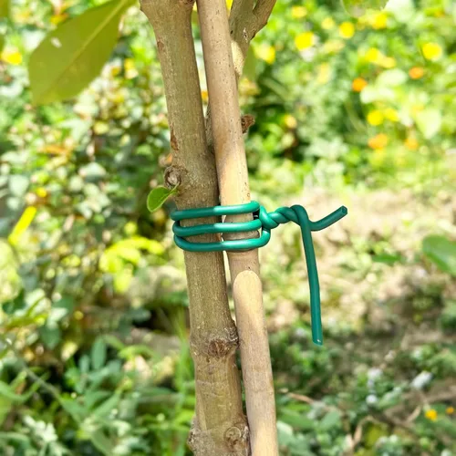 Miniatura 5 de Alambre suave para plantas, lazos de goma reutilizables de 49.2 pies, alambre de jardín resistente para plantas, amarre de plantas de giro suave