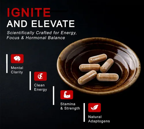 Miniatura 6 de DLNIA Shilajit 8 en 1 para hombres y mujeres con suplemento orgánico del Himalaya Ashwaganda con Rhodiola Rosea, ginseng, cúrcuma, hongos