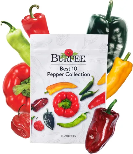 Colección Burpee Best | 10 Paquetes de Mezcla Fresca Sin OGM de Pimiento Picante y Variedades Dulces | Jalapeño, Semillas de Pimiento Morrón y Más,