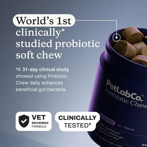 Miniatura 8 de PetLab Co. Probióticos para perros, ayudan a la salud intestinal, la diarrea ocasional, la salud digestiva y las alergias estacionales, sabor a