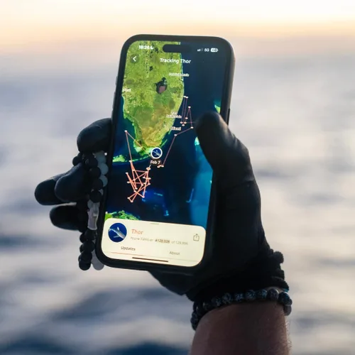 Miniatura 2 de Fahlo Pulsera de seguimiento de tiburones – Sigue el viaje de un tiburón real – Apoya la conservación de la vida silvestre – Elástico, talla única