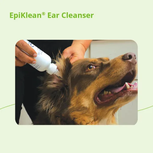 Miniatura 7 de EpiKlean Limpiador de oídos para perros y gatos, 12 oz