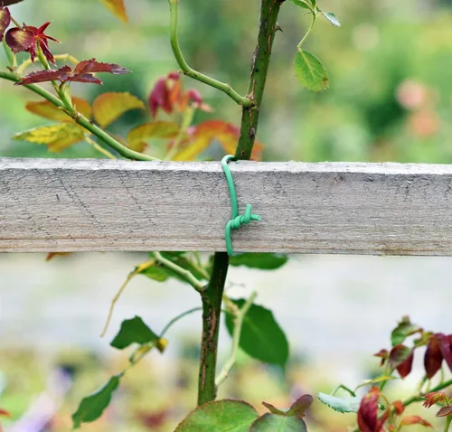 Miniatura 7 de PGarden-EZ Corba de torsión verde suave para plantas, suministro de jardín flexible de TPR, para tomates, rosas, vides y organización
