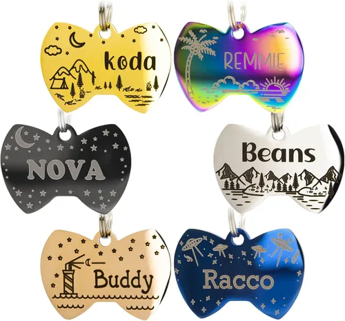 Etiqueta de identificación para perro personalizada con 5 líneas de grabado profundo personalizado en acero inoxidable duradero, etiqueta de nombre